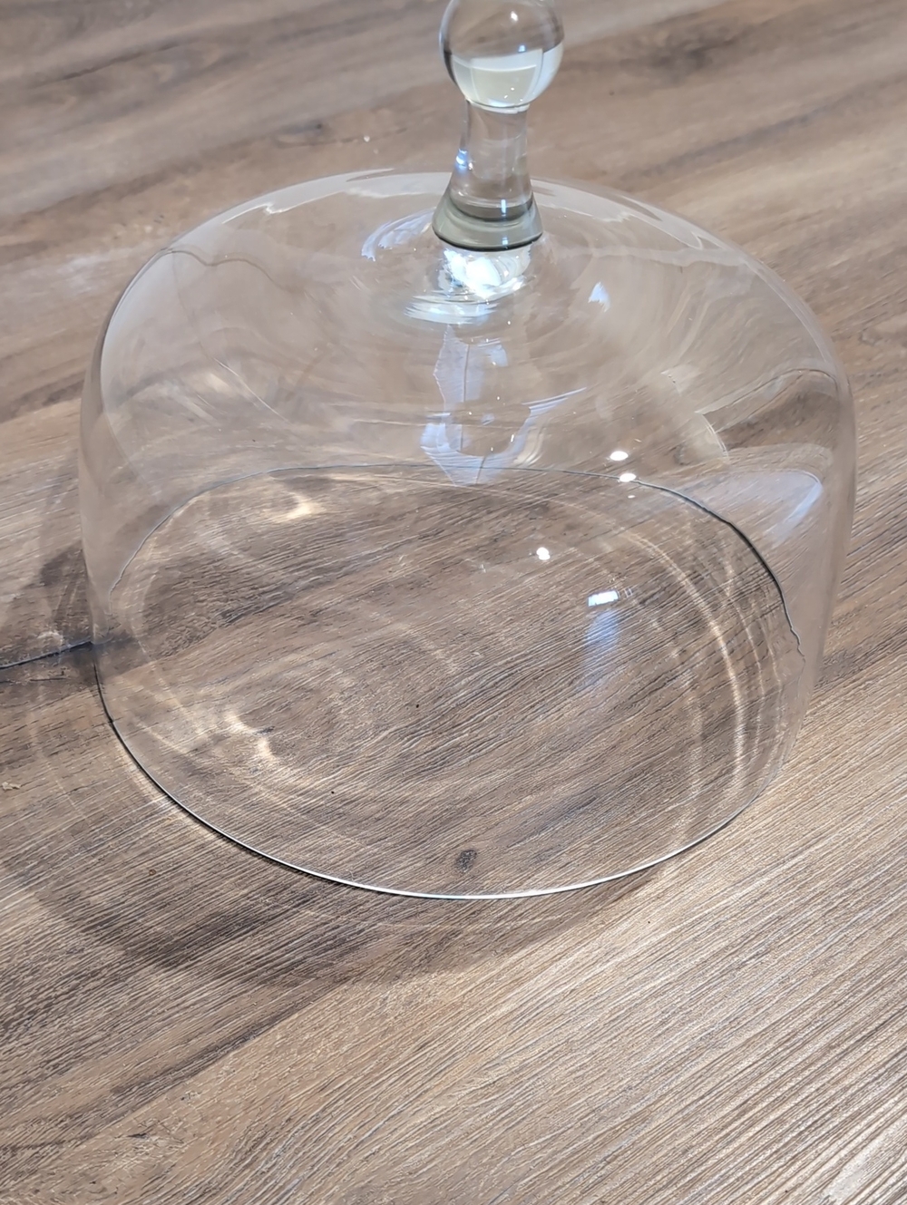 Cake Dome Clear Glass 10" Diameter